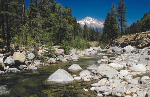 Mount Shasta as seen from a creek