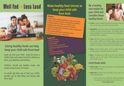 Well Fed Less Lead - information on proper nutrition to reduce lead poisoning in children