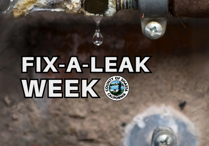 fix a leak
