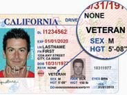 California Veterans Driver's License example