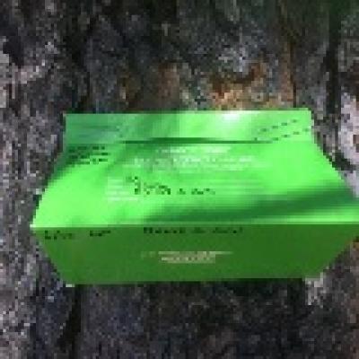 Gypsy Moth green insect trap mounted on tree