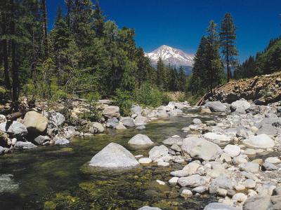 Mount Shasta as seen from a creek