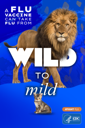 CDC Wild to Mild Flu Vaccine campaign