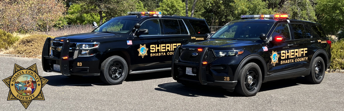 Photo of Sheriff's Office Vehicles with Lights on