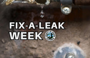 fix a leak