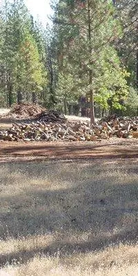 Firewood