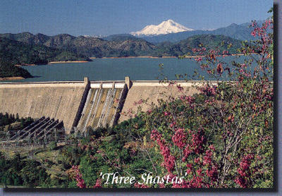 Three Shastas Bar and Grill