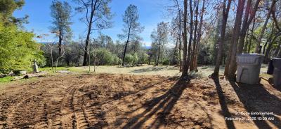 Cleaned site