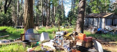 Junk and refuse
