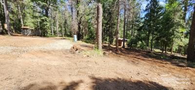 Cleaned site