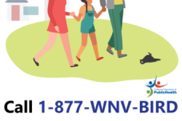 A family of three looking at a dead bird on the lawn in front of their house, and the words: "Call 1-877-WNV-BIRD."