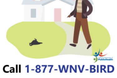 A man who found a dead bird on his lawn and the words: "Found a dead bird? Call 1-877-WNV-BIRD."