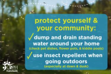 A swarm of mosquitos in a forest and the words: West Nile Virus: protect yourself and your community. Dump and drain water around your home. Check pet dishes, flowerpots and kiddie pools. Use insect repellent when going outdoors, especially at dawn and dusk.